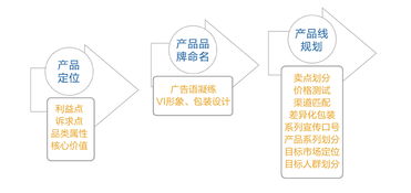 解锁增长密码 高效市场营销策划的核心要素与实践指南