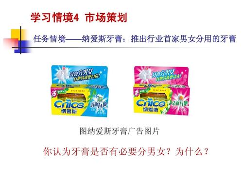 市场营销第二版学习情境4 市场策划简明教程——市场营销策划